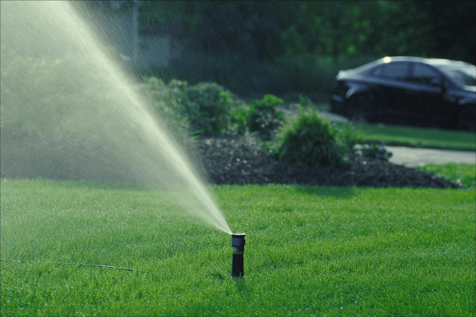 A pop-up sprinkler head spraying an even arc of water across a healthy lawn