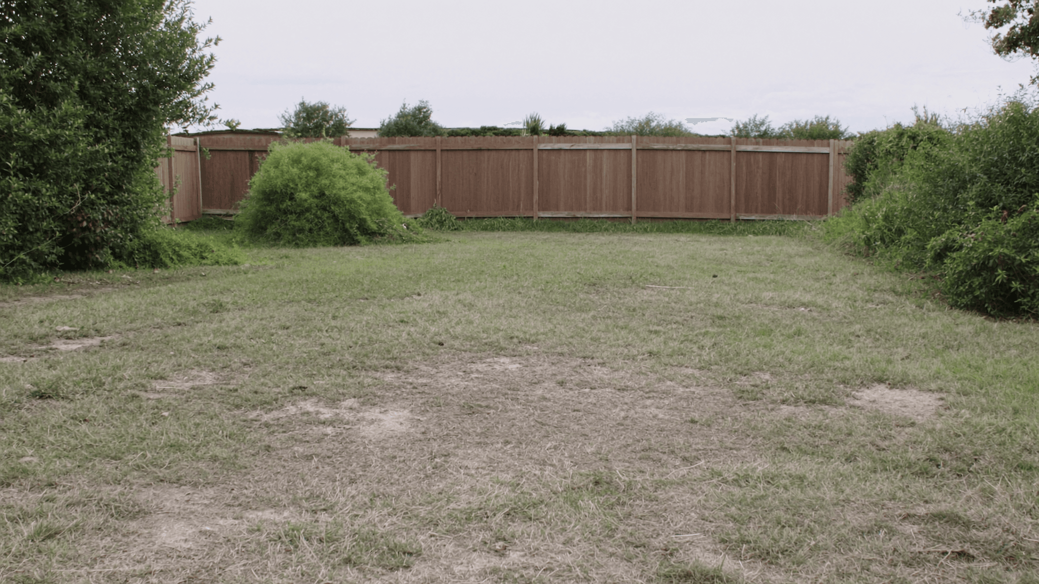 A tired backyard before renovation — patchy grass, bare dirt, and overgrown edges